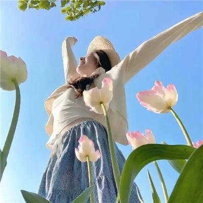 藏海传