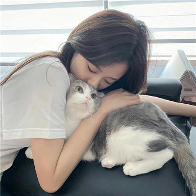 傻瓜拳击手